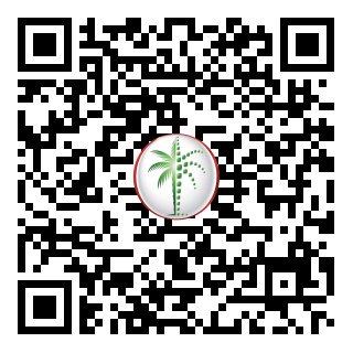 DLD QR Code