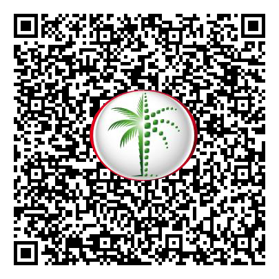 Permit QR Code