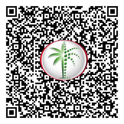 Permit QR Code