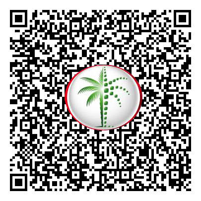 Permit QR Code