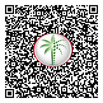 Permit QR Code