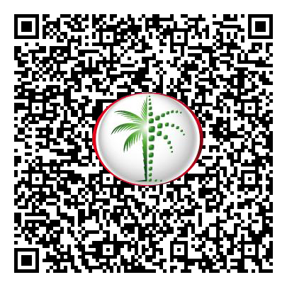 Permit QR Code