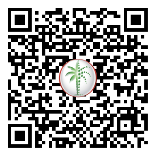 DLD QR Code