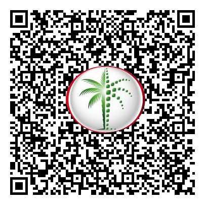 Permit QR Code