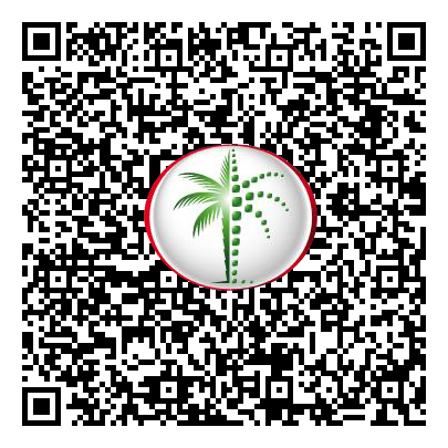 Permit QR Code