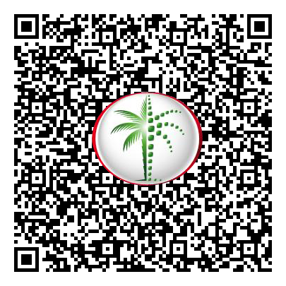 Permit QR Code