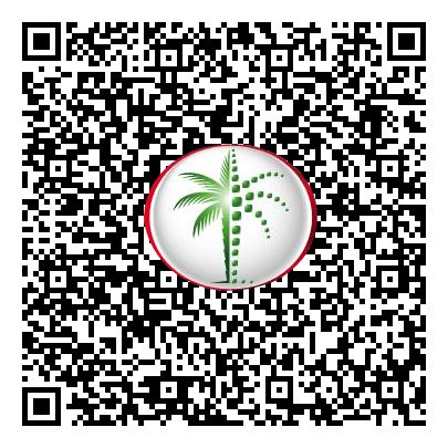 Permit QR Code