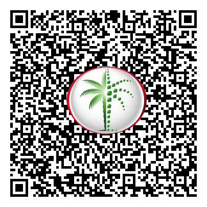 Permit QR Code