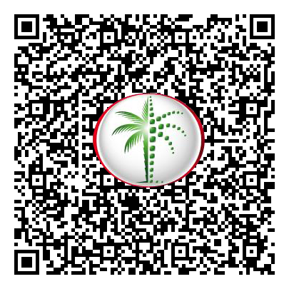 Permit QR Code