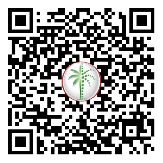 DLD QR Code