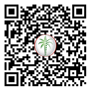 DLD QR Code