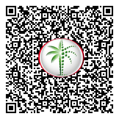 Permit QR Code