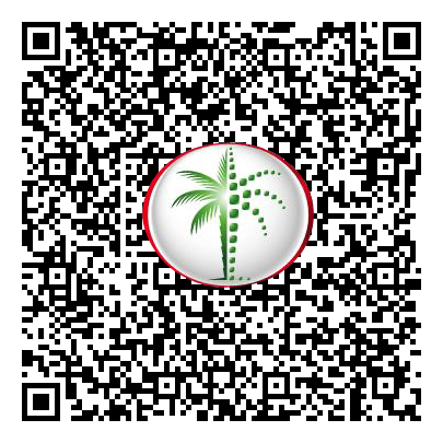 Permit QR Code