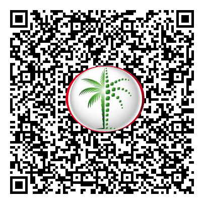 Permit QR Code
