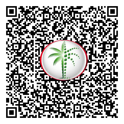 Permit QR Code