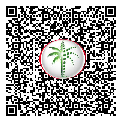 Permit QR Code