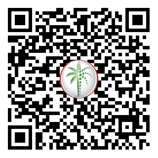 DLD QR Code