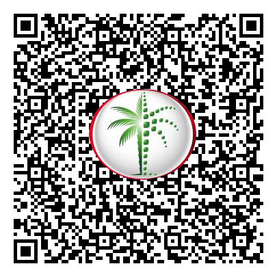 Permit QR Code