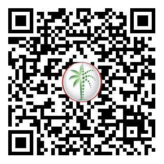 DLD QR Code