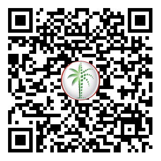 DLD QR Code