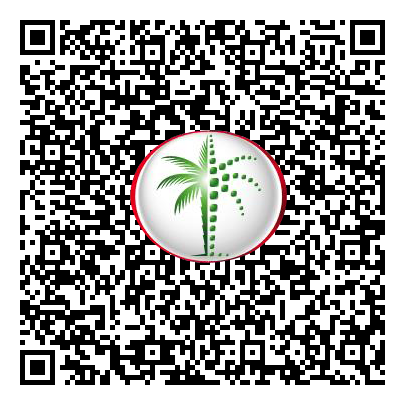 Permit QR Code